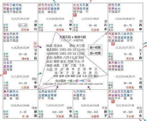 紫微斗數 分析